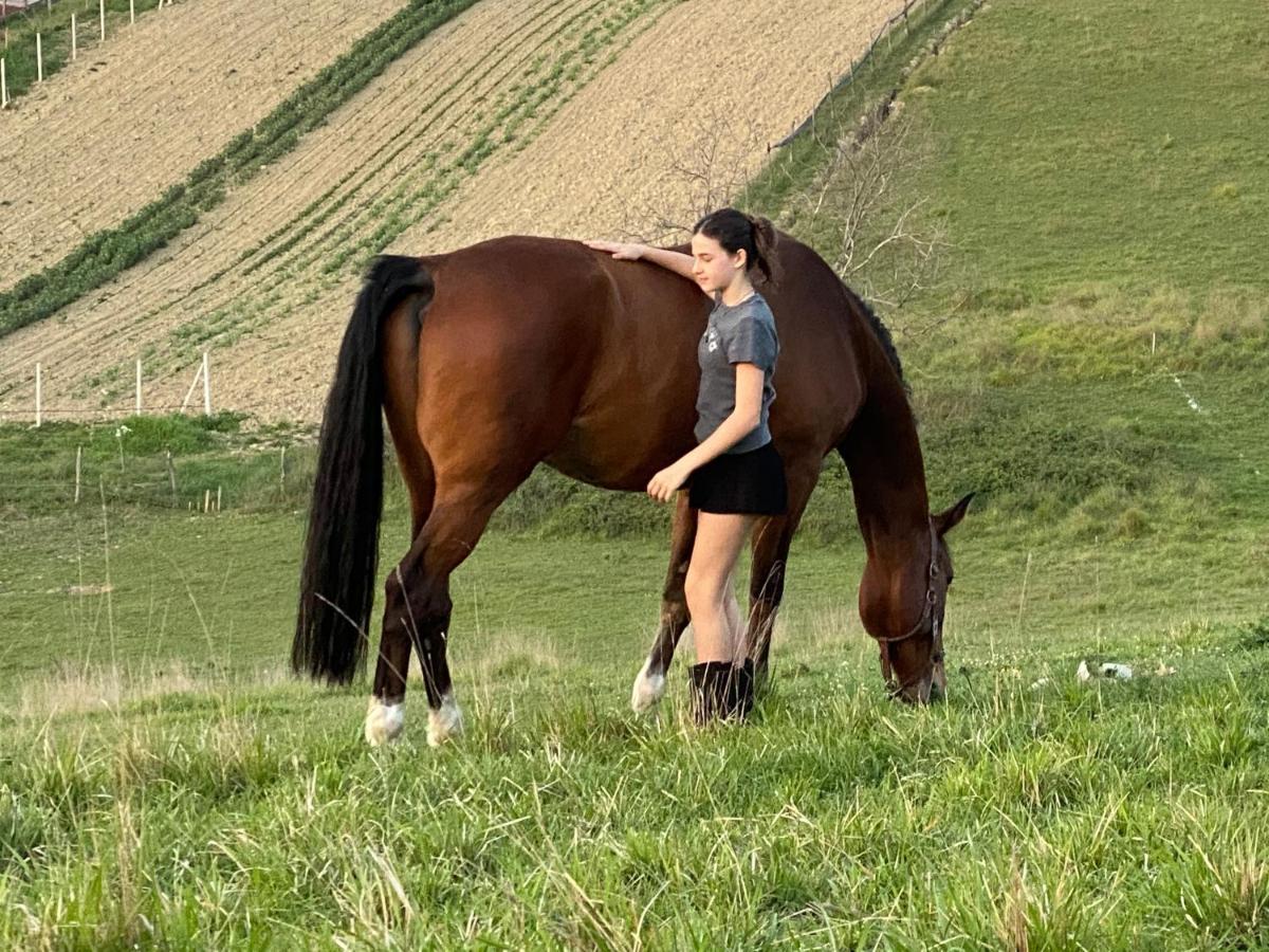 Tenuta Lisetta Monterotondo  Exteriér fotografie