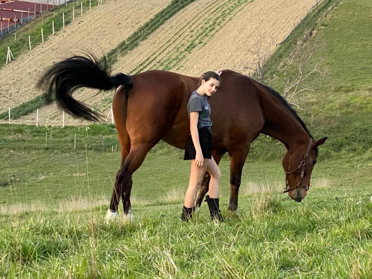 Tenuta Lisetta Monterotondo  Exteriér fotografie